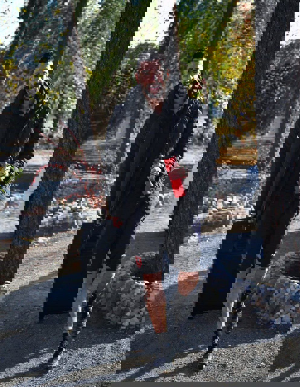 ندای لرستان