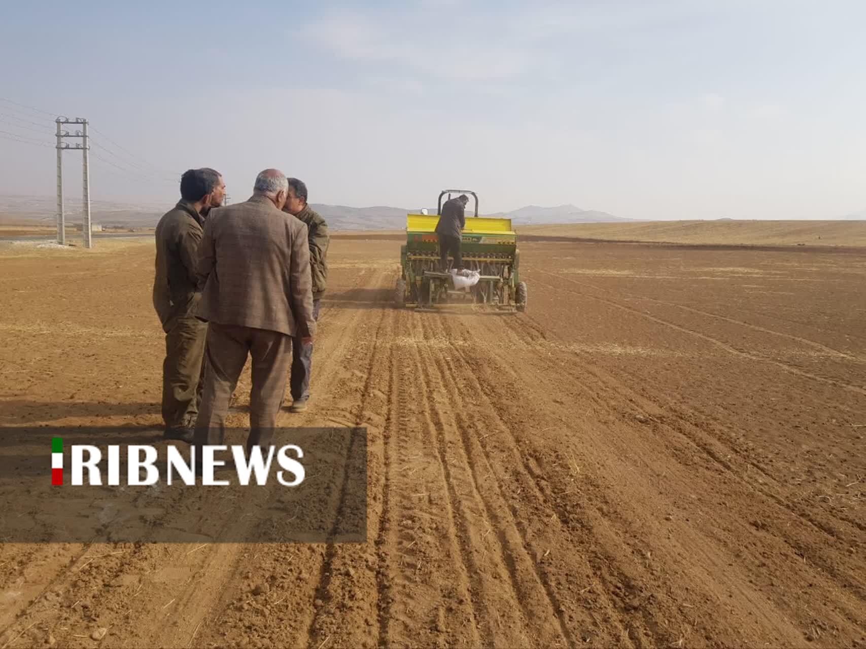 آغاز کشت پایگاه نوآوری طرح پایداری تولید در دیمزارهای الیگودرز