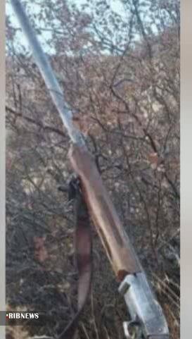 ندای لرستان