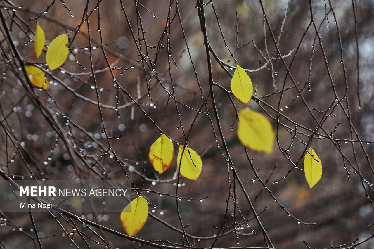 ۴۴ میلی‌متر باران در لرستان بارید/ ثبت بارش ۹۶ میلی‌متری در رومشکان