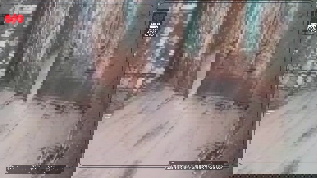 آبگرفتگی روستای «خرسدر» پلدختر