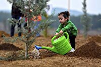 کاشت ۵ هزار اصله نهال در لرستان