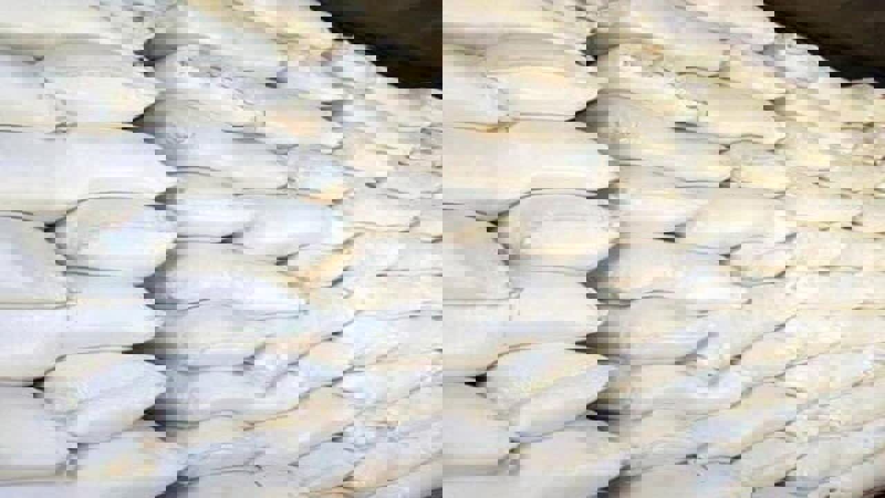 بیش از ۶ تن آرد فاقد مجوز در الیگودرز کشف شد