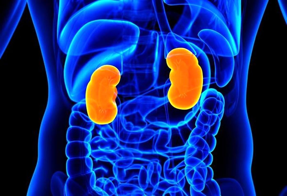 کوچک شدن کلیه نشانه چیست؟