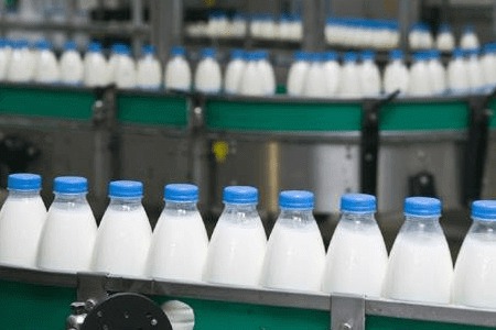 انتشار نامه سرگشاده خطاب به رئیس‌جمهور؛ صنایع لبنی طلبکار شدند!