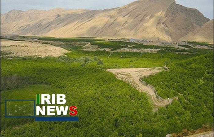 تعیین تکلیف ۵۰۴ هزار هکتار از اراضی غیر ملی در لرستان