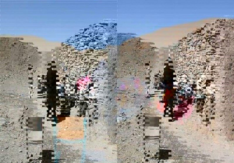 مدرسه‌هایی که دوباره متولد می‌شوند