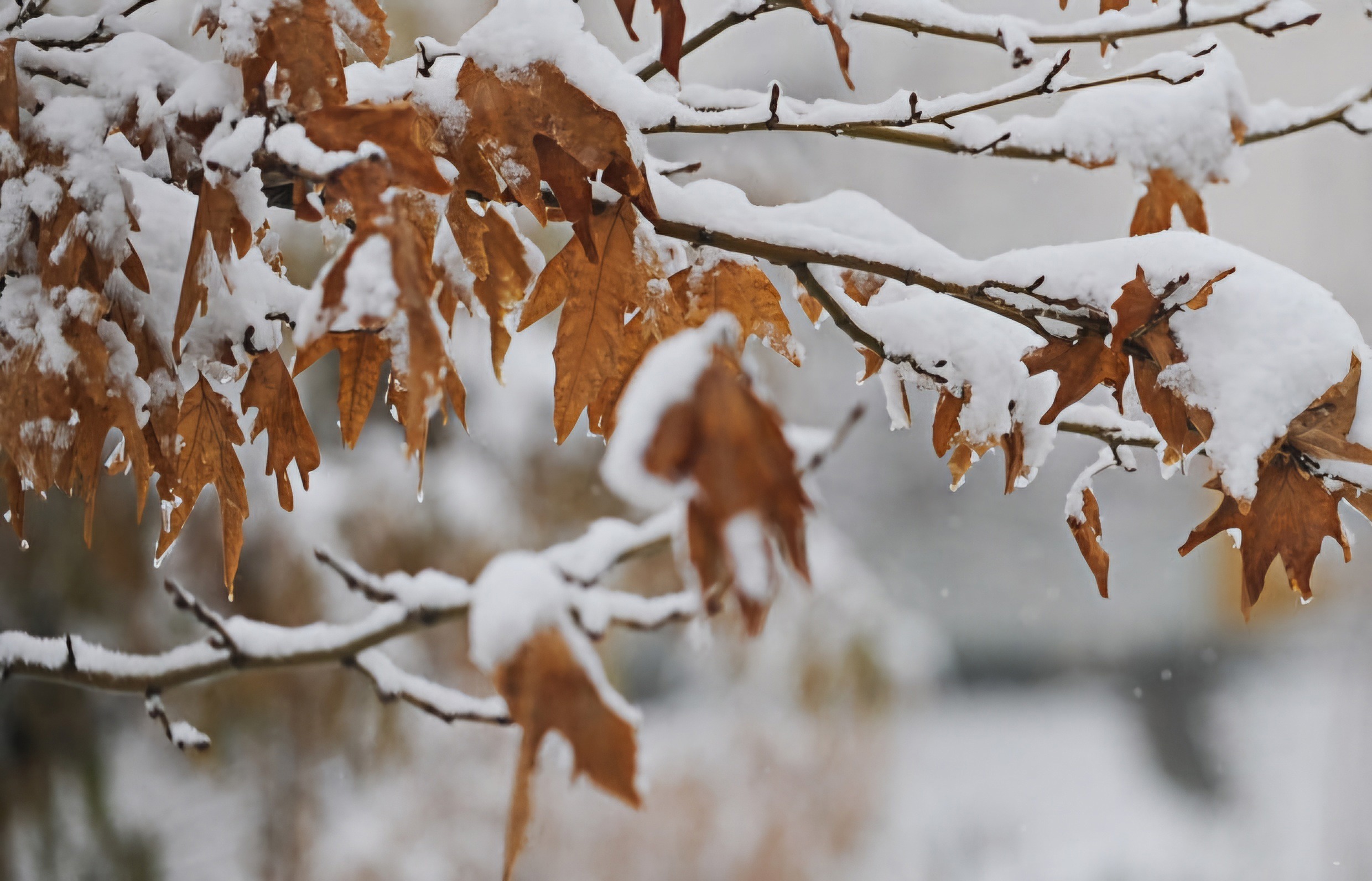 هشدار یخبندان در لرستان