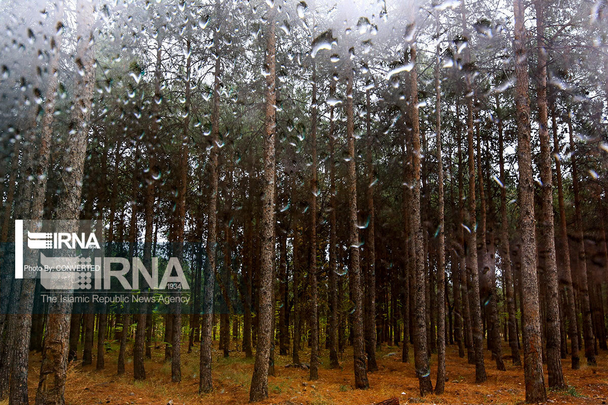 میانگین بارندگی در بروجرد به ۴۳.۹ میلی‌متر رسید