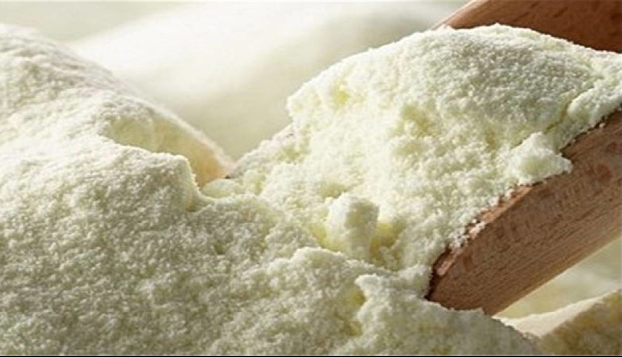 مقام صنفی: گرانی شیرخام ارتباطی به صادرات شیرخشک ندارد