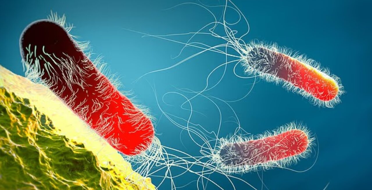 ندای لرستان