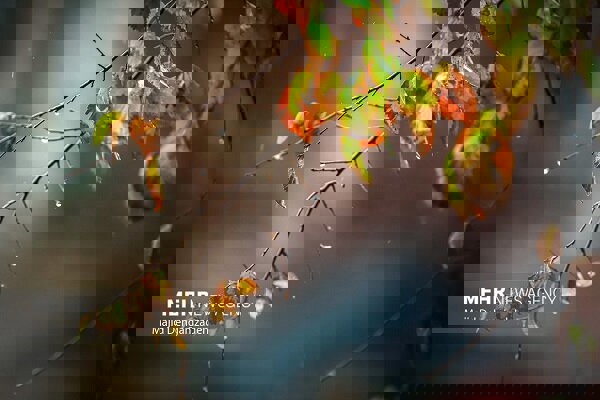 پیش‌بینی بارش پراکنده باران و برف در لرستان