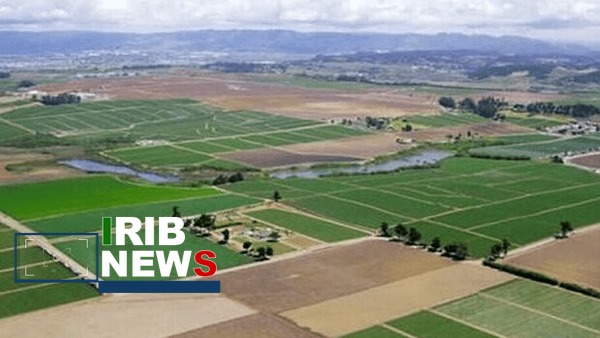 تعیین تکلیف بیش از ۳۳۰ هزار هکتار از اراضی کشاورزی خرم‌‌آباد