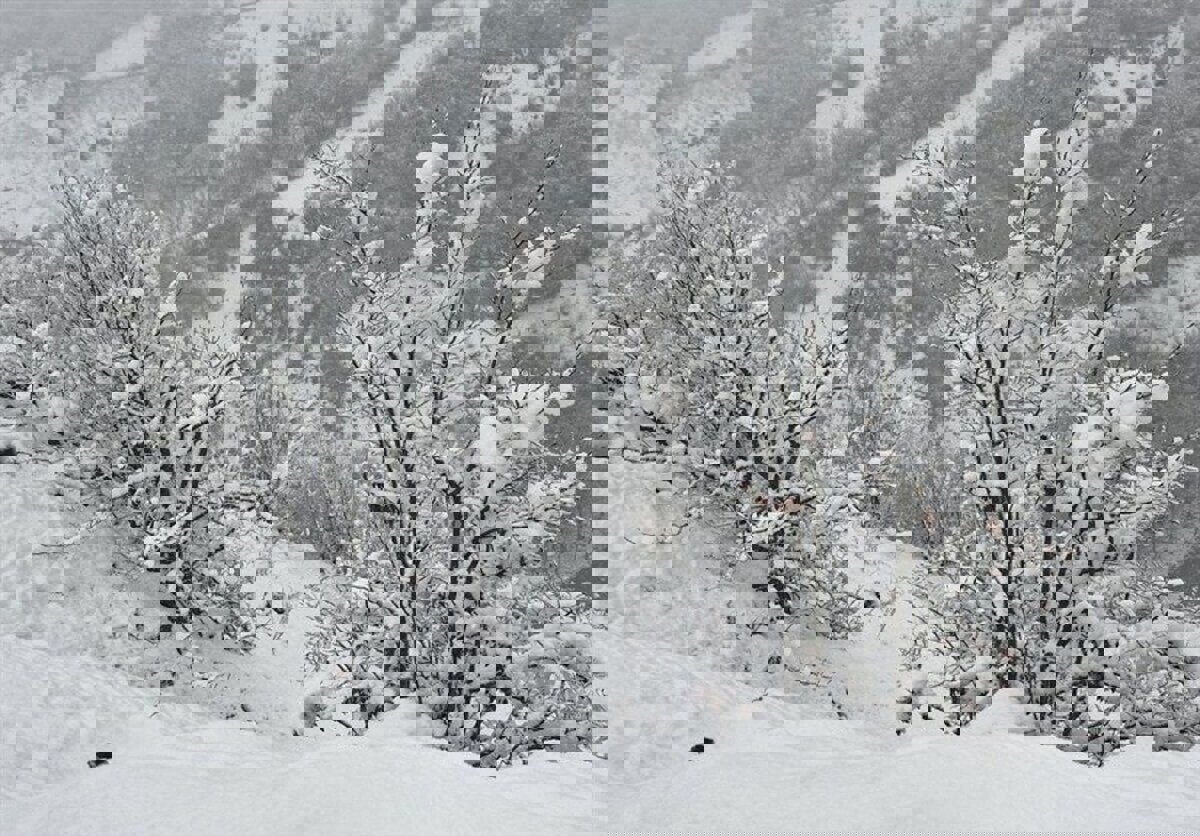 دمای هوا در لرستان کاهش می‌یابد