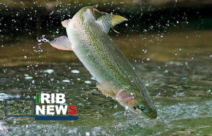 ندای لرستان