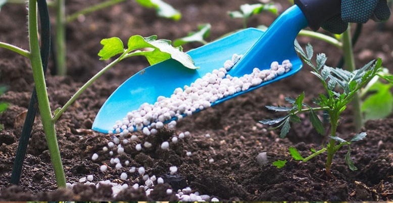 ندای لرستان