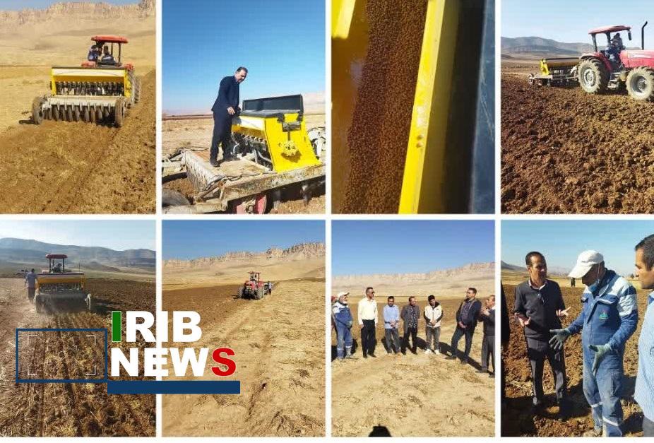 اجرای مزرعه الگویی نخود در طرهان کوهدشت