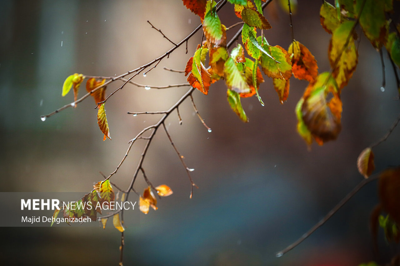 بارش‌ها در لرستان تا سه‌شنبه ادامه خواهند داشت