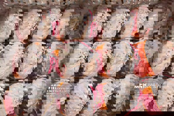 عرضه بیش از ۶ هزار تن گوشت مرغ در لرستان