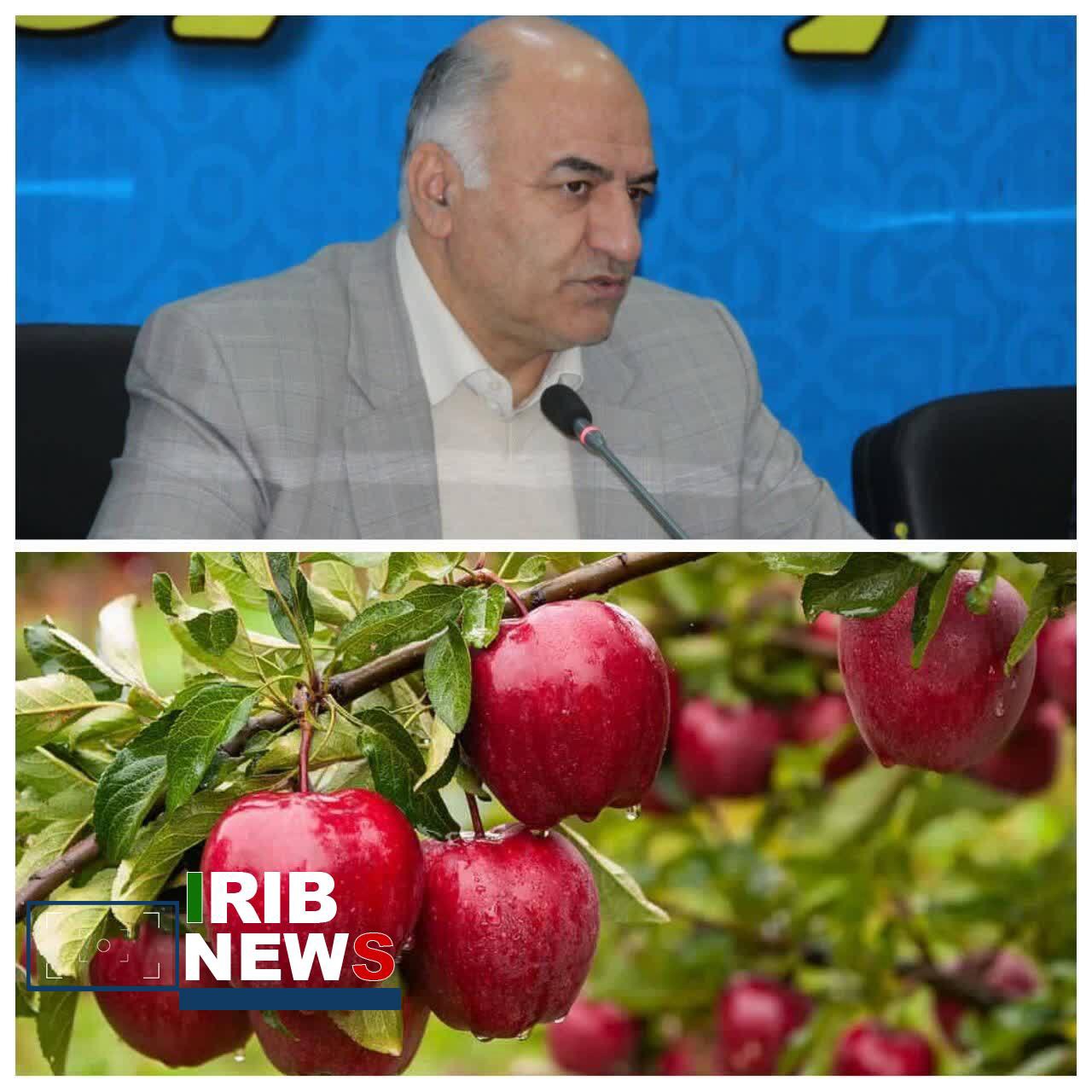 ثبت جشنواره سیب بروجرد در تقویم رویدادهای گردشگری کشور