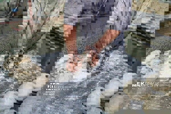 بازرسی مشترک از نانوایی‌های خرم‌آباد