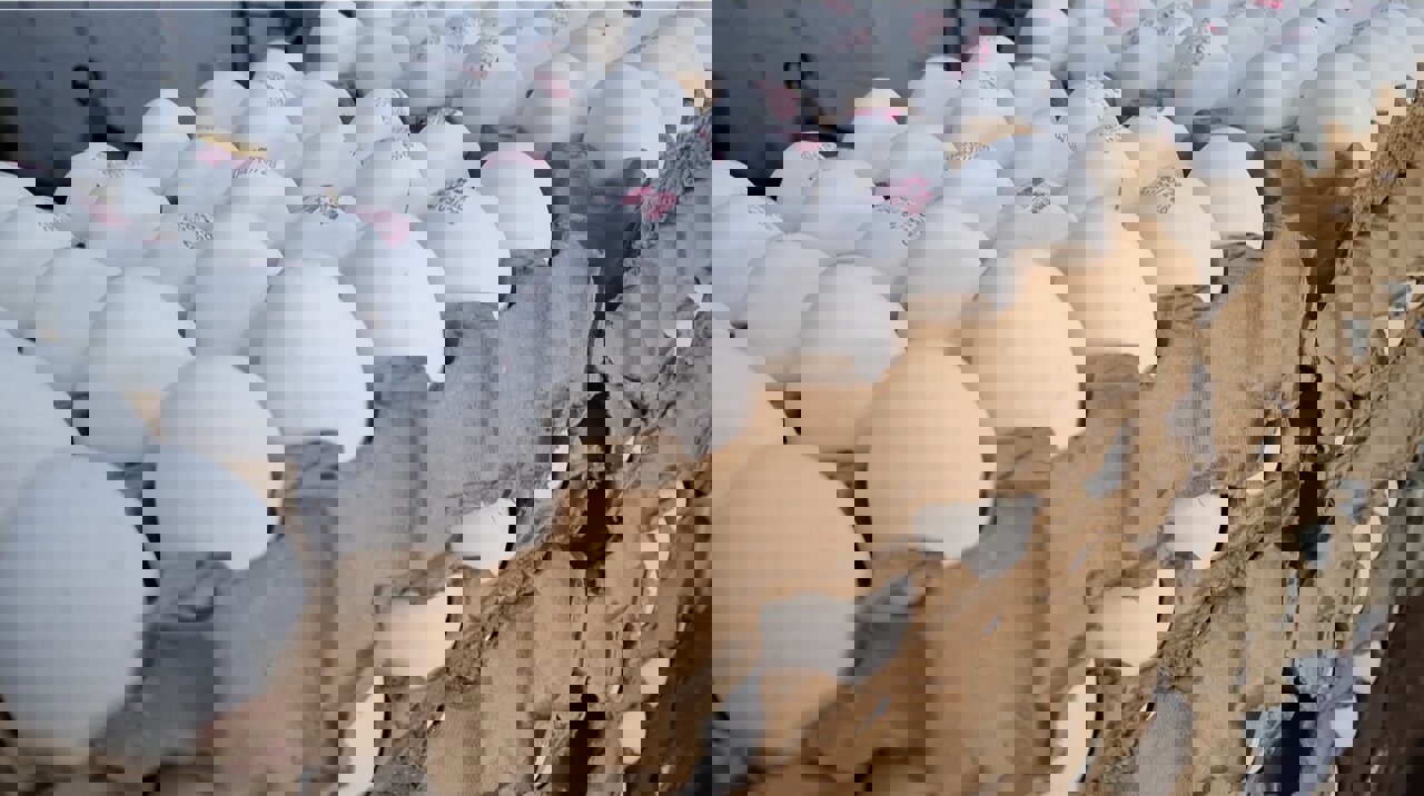 توقیف کامیون حامل ۲ تن تخم‌مرغ فاقد مجوز در الیگودرز