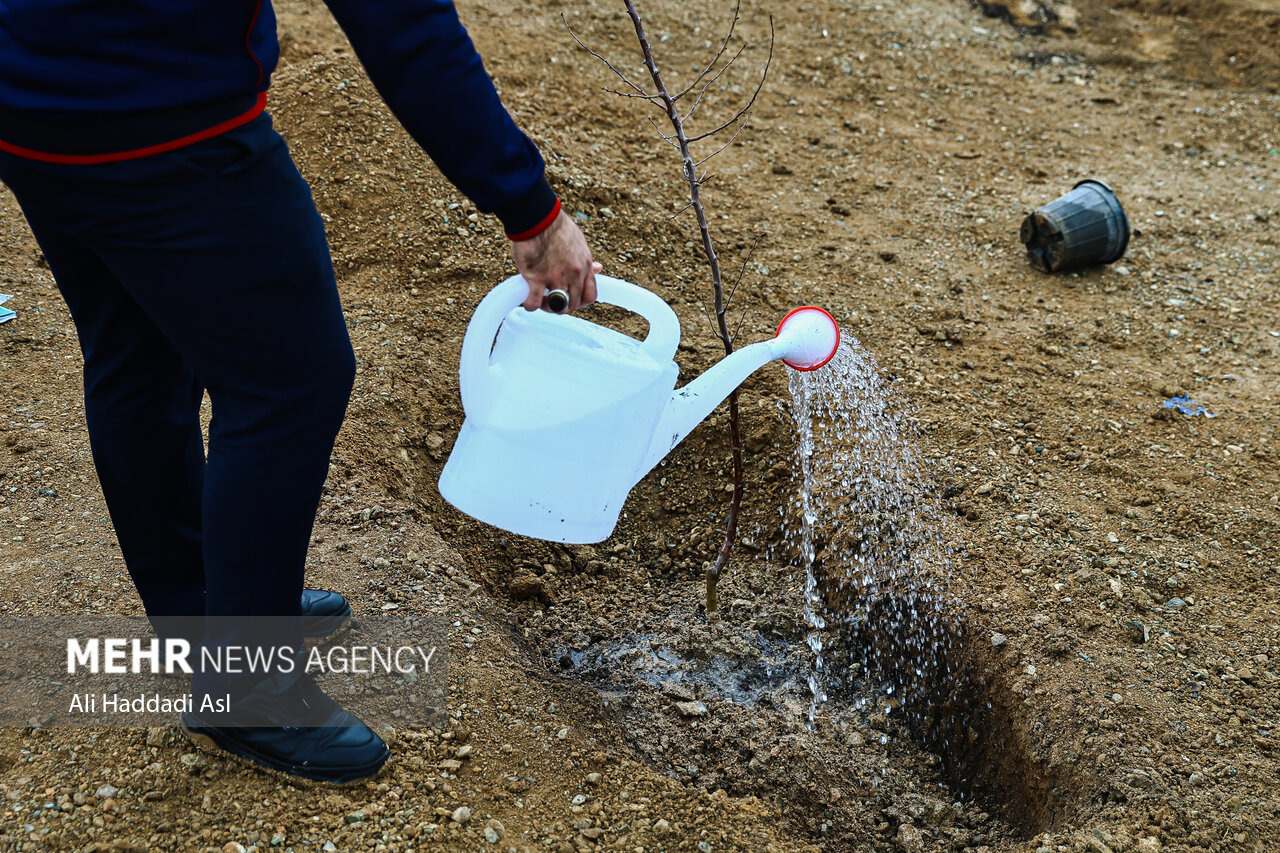 پویش درختکاری در خرم‌آباد به مناسبت ولادت حضرت علی (ع)