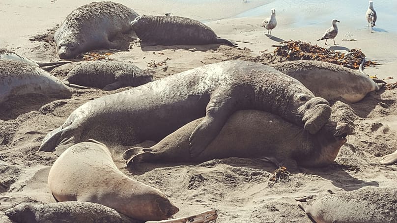 ندای لرستان