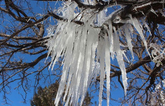 شب یخی چمن سلطان الیگودرز با منفی ۱۷ درجه سانتیگراد