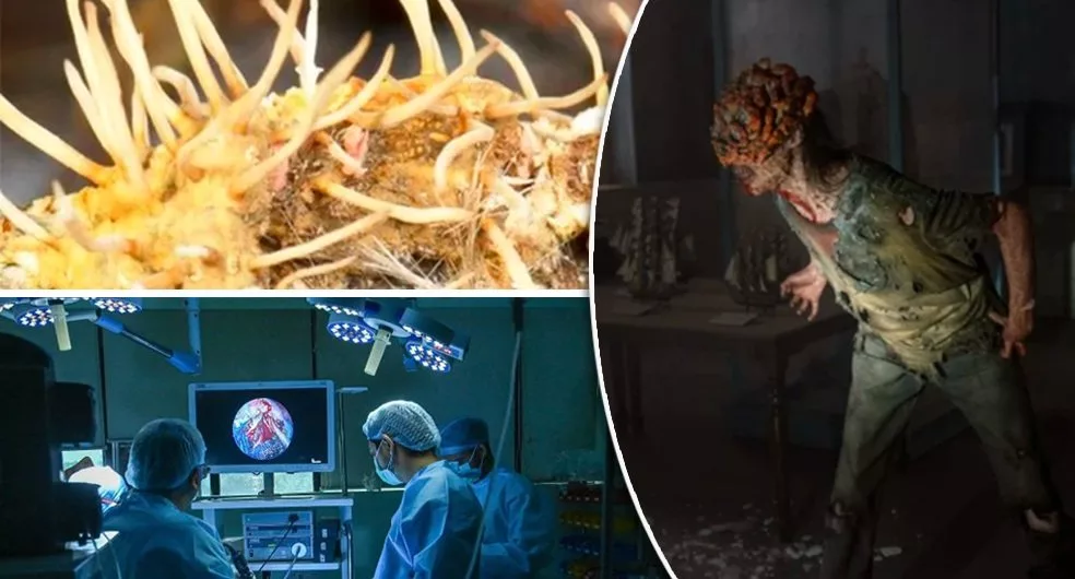 ندای لرستان