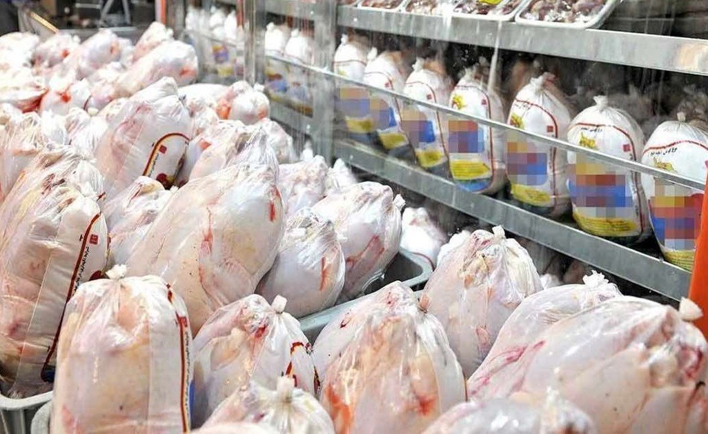 تولید یک هزار و ۳۸۵ تن گوشت مرغ در لرستان