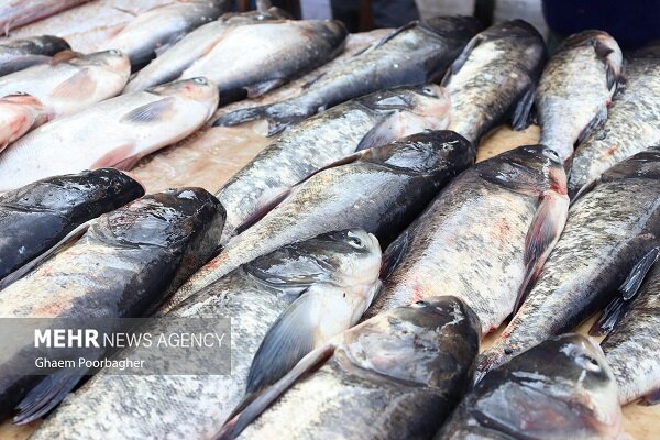 ندای لرستان