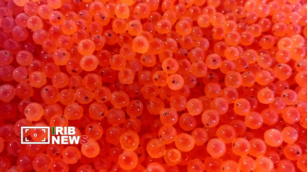 ندای لرستان