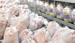 عرضه بیش از ۶ هزار و ۴۰۰ تن گوشت مرغ در لرستان