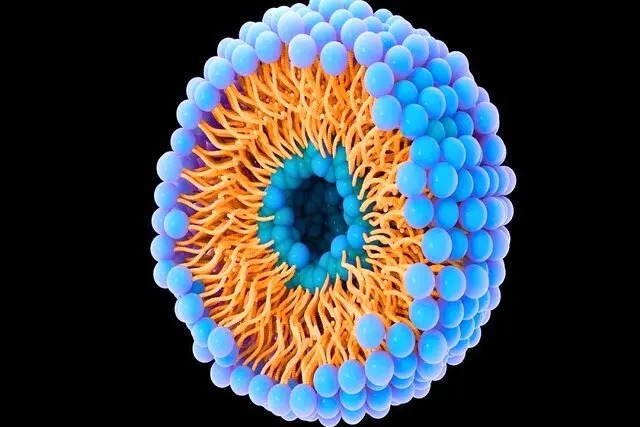 کمک حباب‌ها به سرطان برای حمله و توقف!