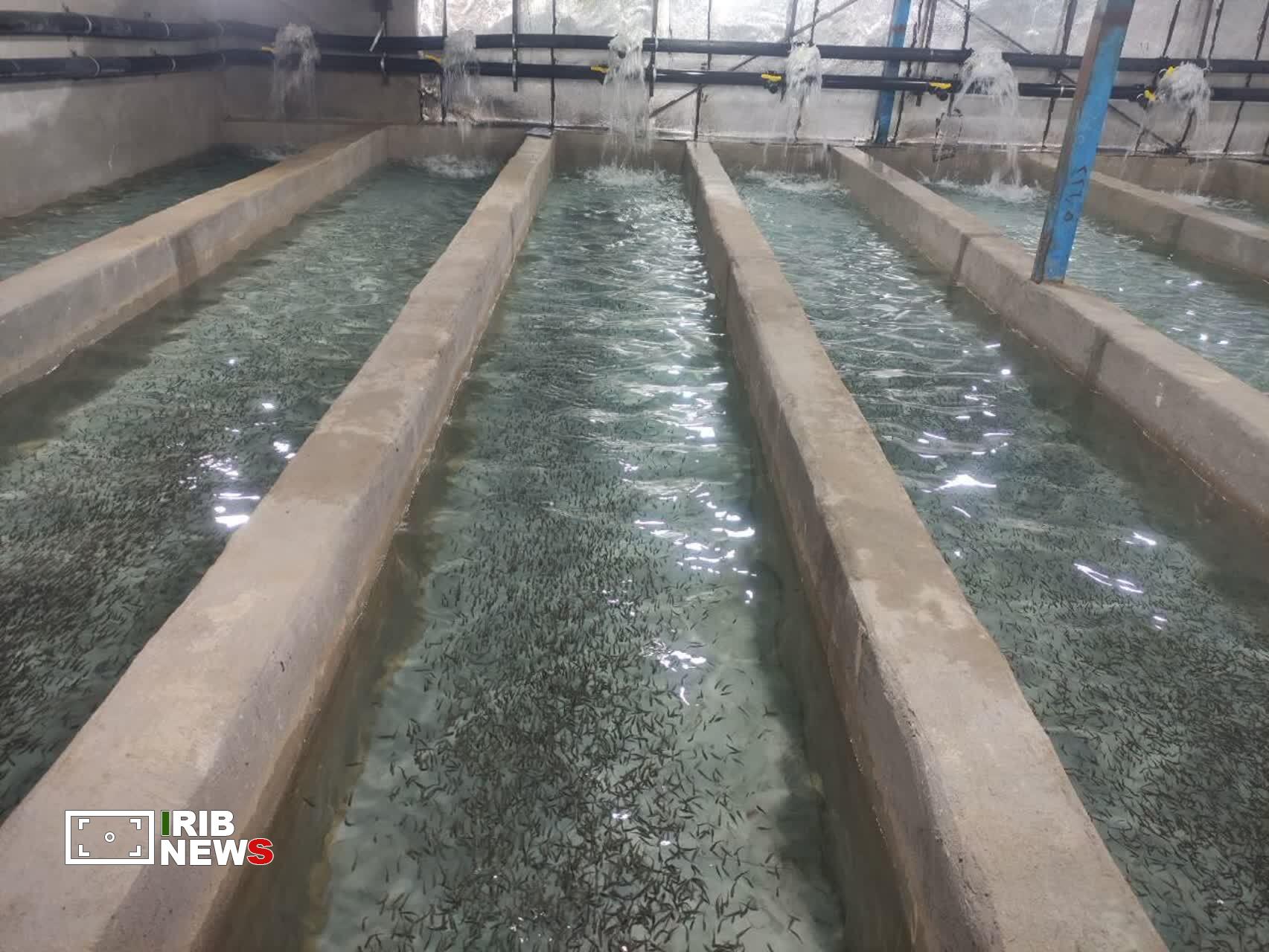 ندای لرستان