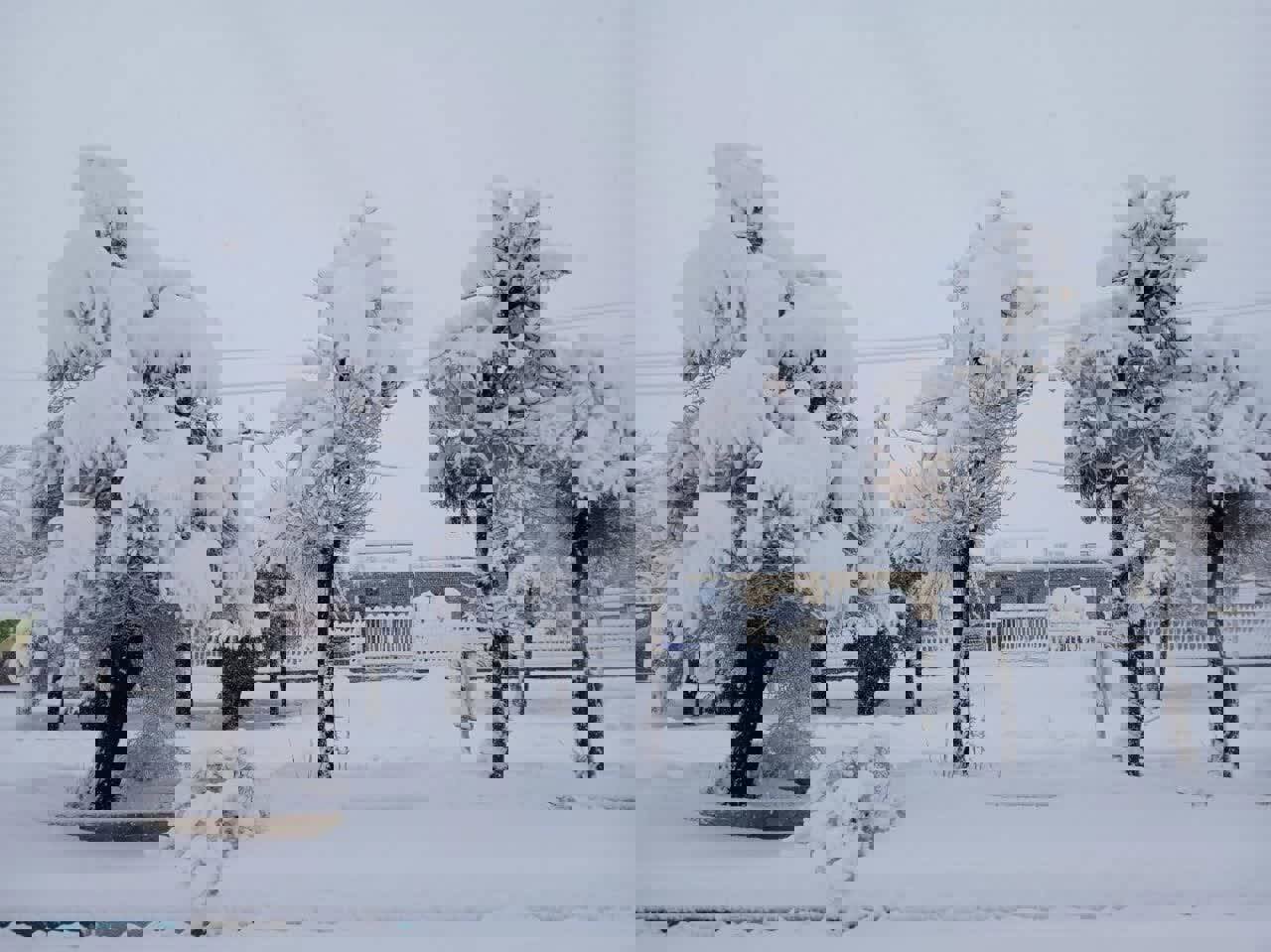 بیشترین بارندگی‌های لرستان در «شول‌آباد» ثبت شد؛ بارش ۲۰ سانتی‌متر برف