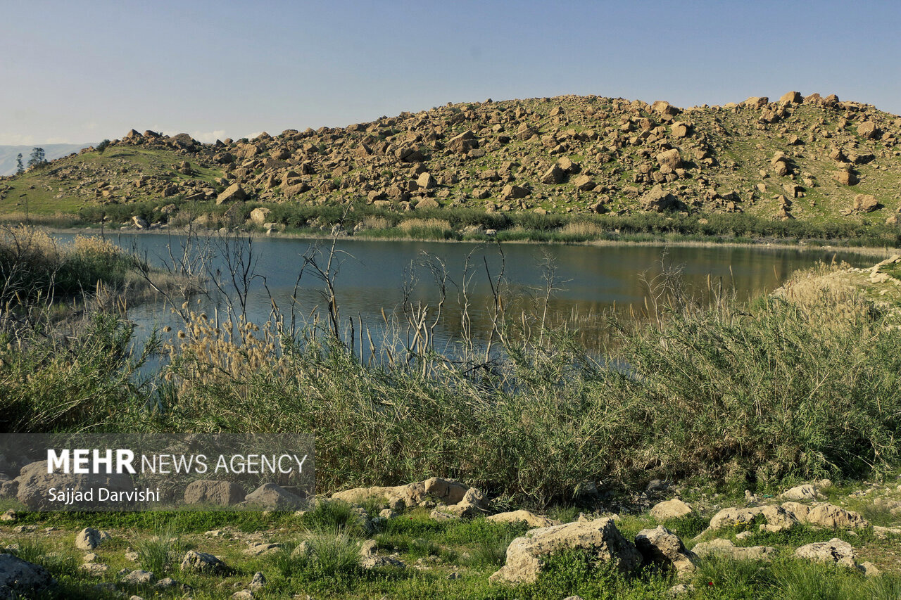 تالاب‌های لرستان مناسب برای زمستان‌گذرانی پرندگان