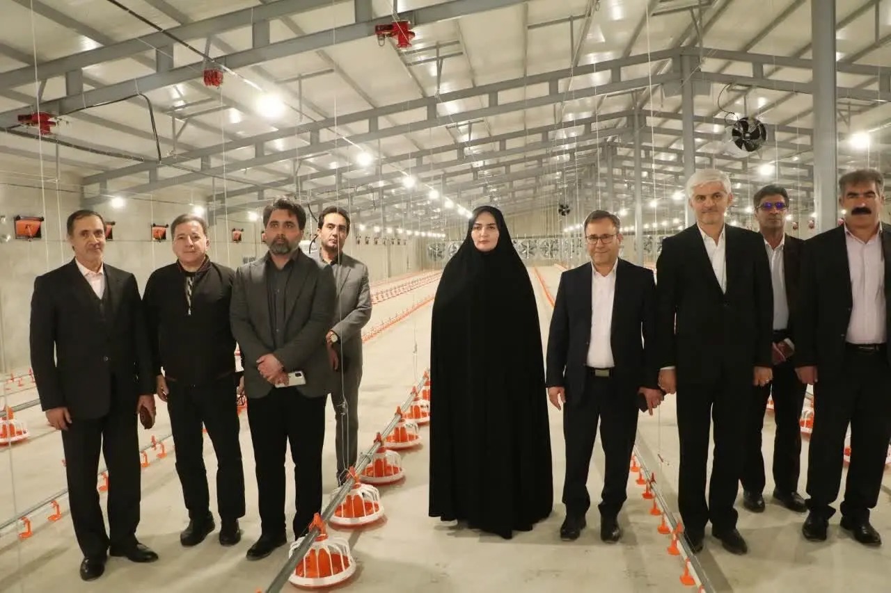 مرغداری ۹۰ هزار قطعه‌ای شهرستان سلسله افتتاح شد