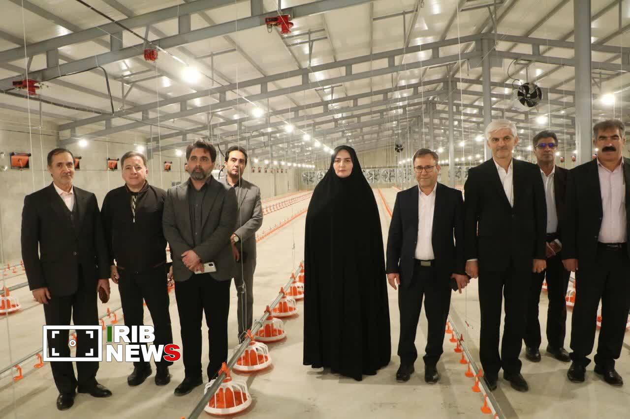 افتتاح مرغداری ۹۰ هزار قطعه‌ای در سلسله لرستان