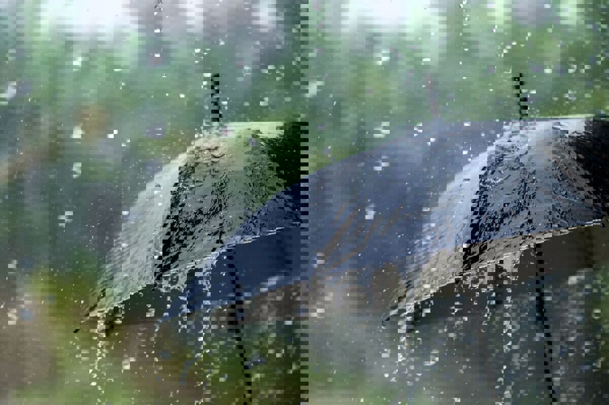 میزان بارش‌ها در لرستان به ۲۲.۱ میلی‌متر رسید؛ شول‌آباد در صدر