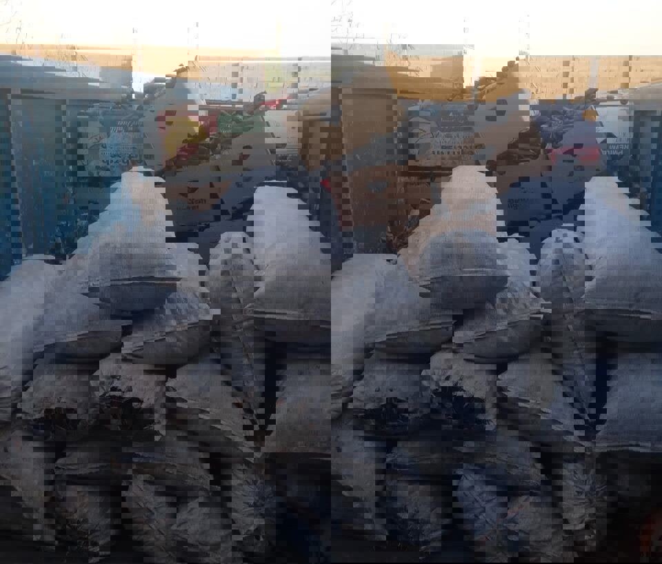 کشف یک تن ذغال چوب غیرمجاز در خرم‌آباد؛ دو متهم دستگیر شدند