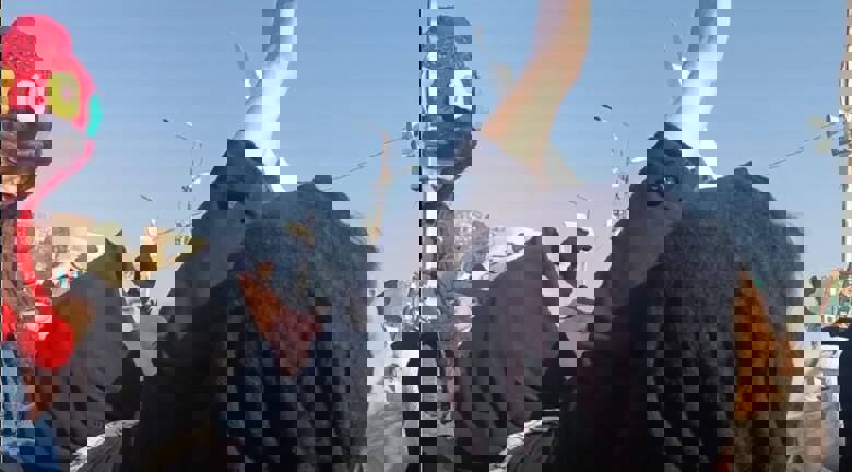 داشت برایش خواهری می‌کرد