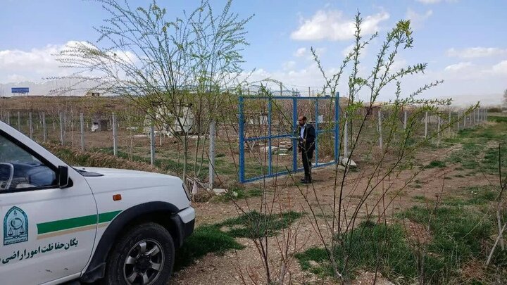 ندای لرستان