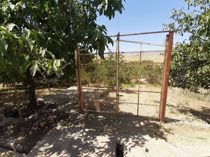 ندای لرستان