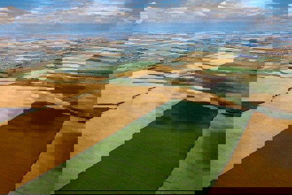 گشت‌های پیشگیرانه؛ وقتی قانون قدم به مزرعه می‌گذارد