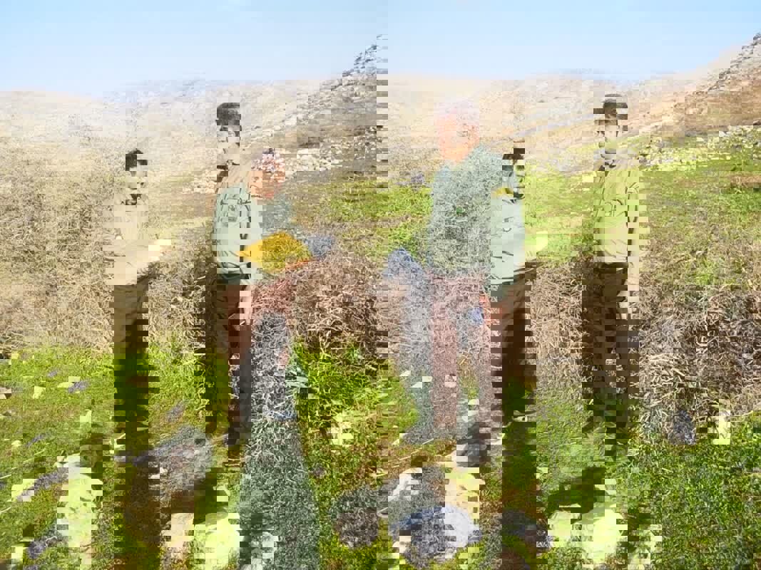 رفع تصرف اراضی ملی منطقه «پاعلم» لرستان