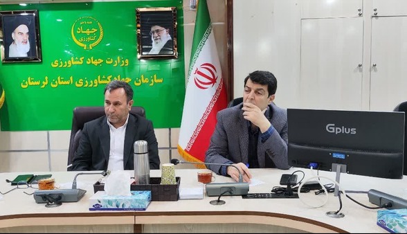 خرمای ویژه ماه رمضان را ارزان‌تر از بازار بخرید