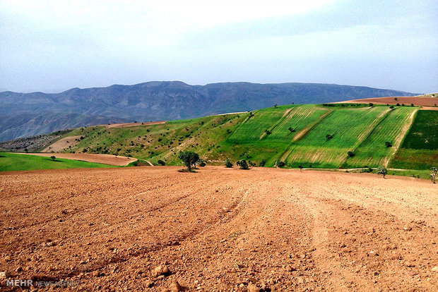ندای لرستان