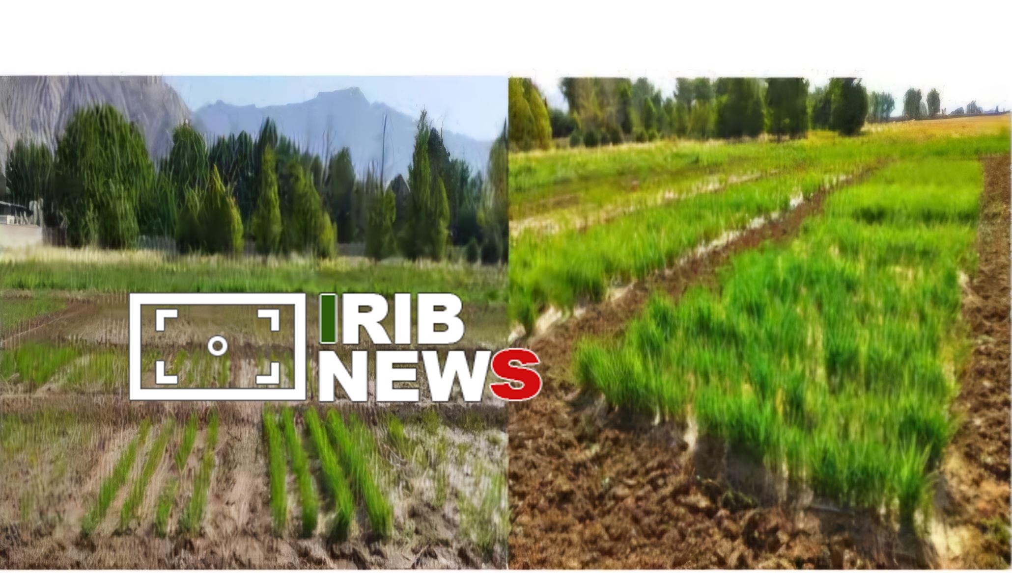 ندای لرستان